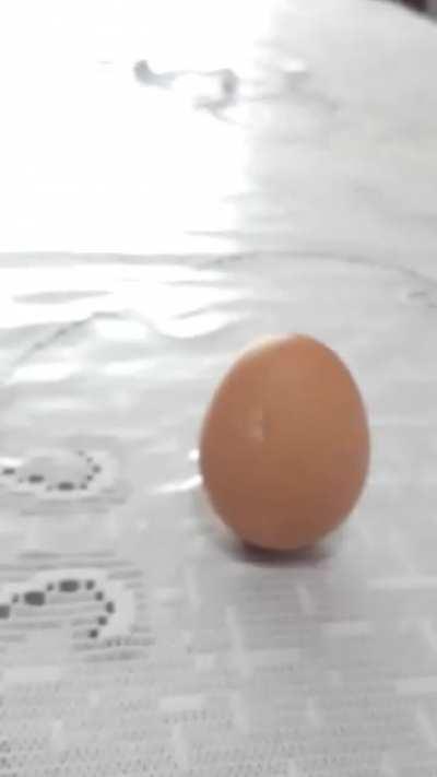 Consegui equilibrar sapoha