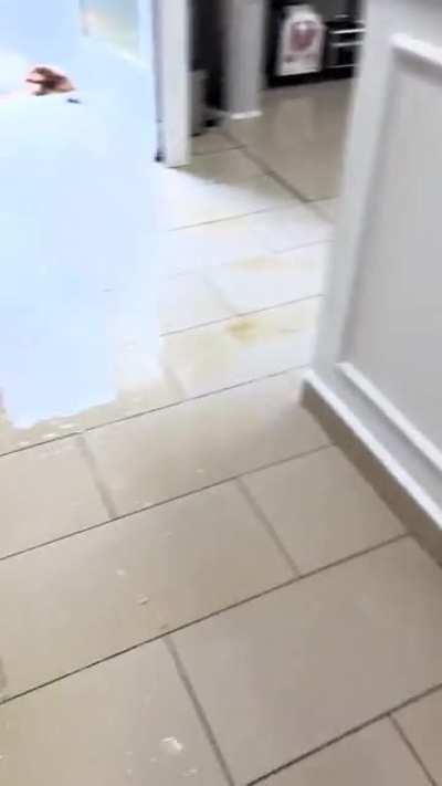 Poop leak in beauty parlor (from r/GradualChaos)