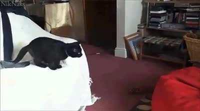 HMC While I become ones with the beanbag