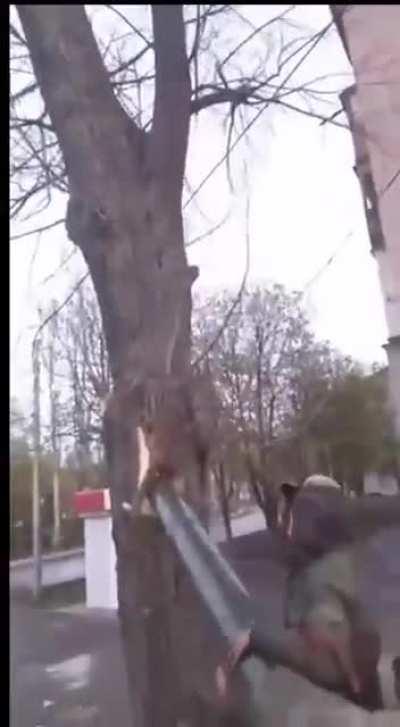 Russian tank penetrates a tree