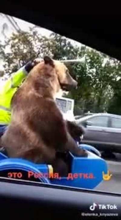 Russian bear puts things in order