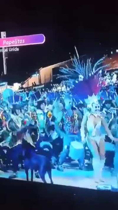 CANCELARON LA COMPARSA PAPELITOS DE GUALEGUAYCHÚ PORQUE UN PERRO QUERÍA BAILAR Y LE PEGAR0N
