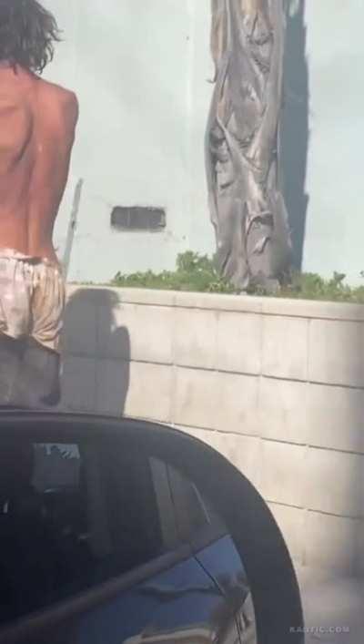 los angeles shitstain