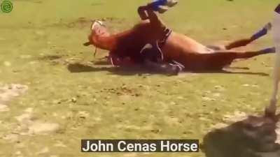 И его зовут Джон Сееееенааааа!!!!