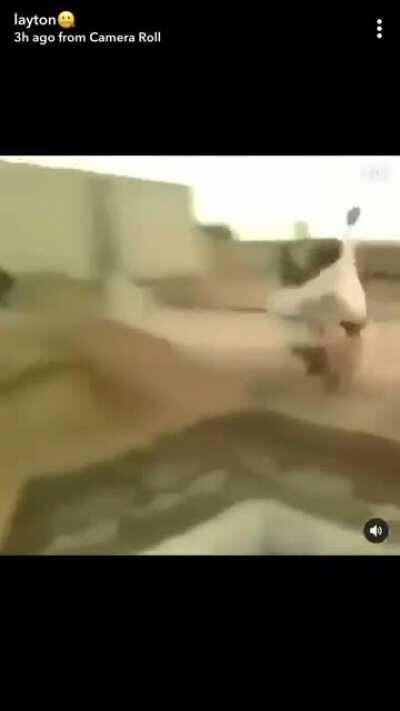 Jumping over a deep hole