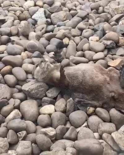 Жонглирование