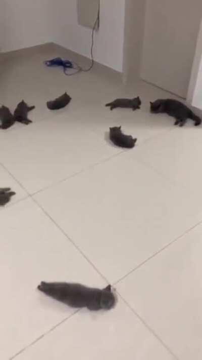 Tiny heat absorbing criminals