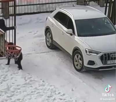 To hold the Gate open..