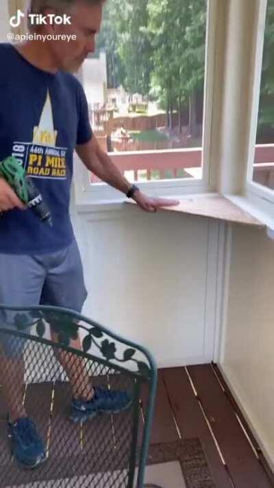 Dad builds a perch for a cat he did not want