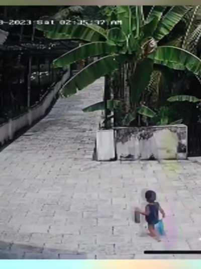 Palakkad: Car passenger save toddler from speeding vehicles.