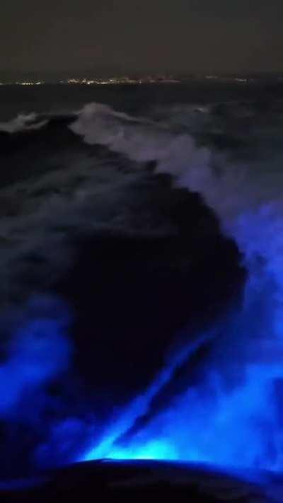 🔥 A pod of orcas leaping in a boat wake in the dead of night 