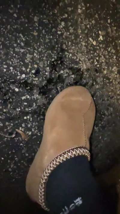 my first snail video i ever made hehe 