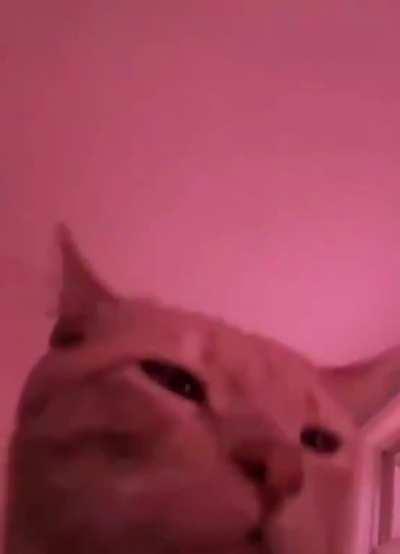 Era: ? Genre: Electronic/Hardstyle