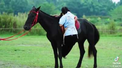 Life in rural China!