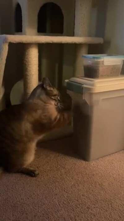 I changed her food, I think she MIGHT like it.