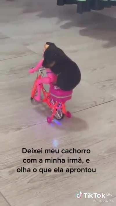 o cachorrinho mano kkkk