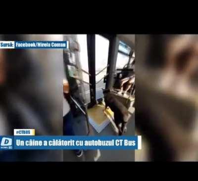 okprietenretardat - Video #0136