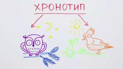 Вы когда-нибудь задумывались: одинаково ли мы видим цвет? — Научпок