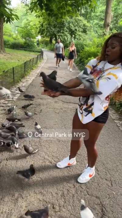 Central Park in New York City (June 22, 2024)