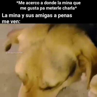 Parece chiste pero es anecdota 😔👌