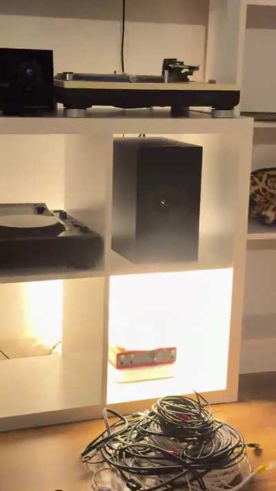 Newbie here, how do I fix this noise ?