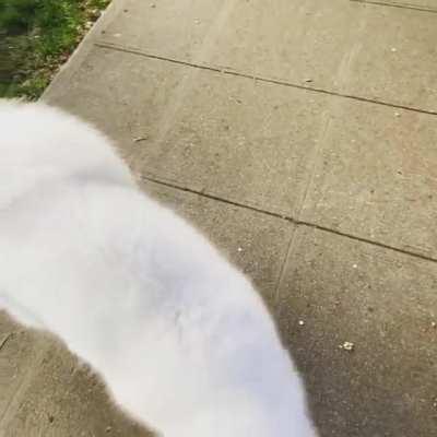 Not happy to leave park