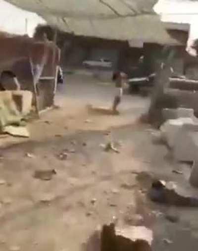 Оскара за операторскую работу!