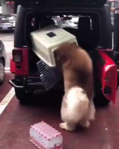 Well, that's one way to do it.