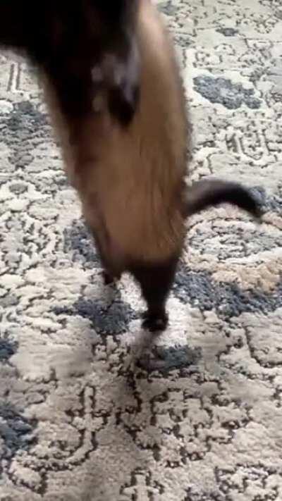 We have liftoff 🚀