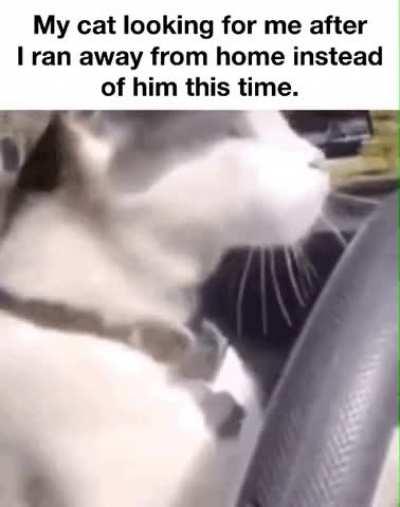 Cat driver