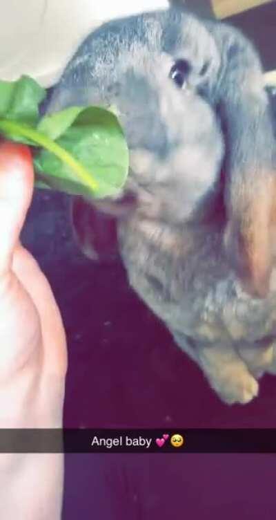 Her little feet get me every time 😭❤️