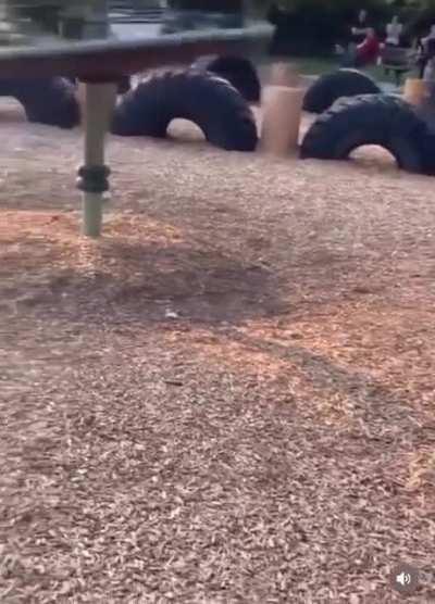 wcgw , when you missed basic physics classes in school