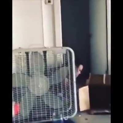 Man almost kills himself flexing for instagram