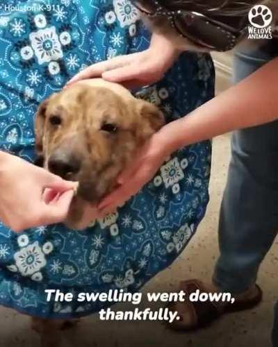 Took this from another sub but needed to put on here