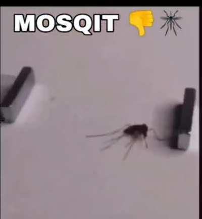 mosqit = 👎