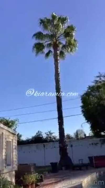 yeaahhhhh - Video #5365