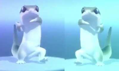 POV: you’re my best friend’s date and a little bewildered by our energy