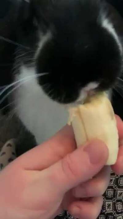 It’s been a banana munching kinda day