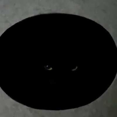 when you gaze into the abyss the abyss gazes back