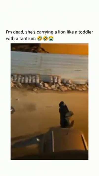 She carrying her be like : no, no bad kitty no