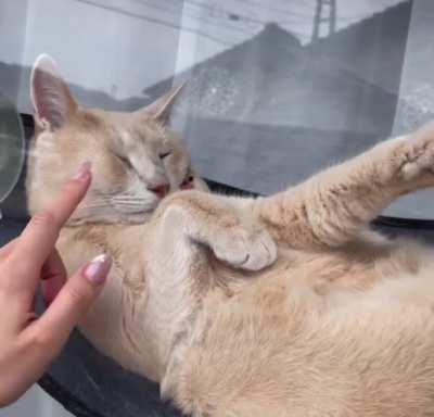 Solar Powered Slumber