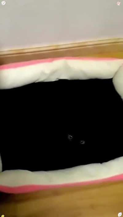 The void consumes all