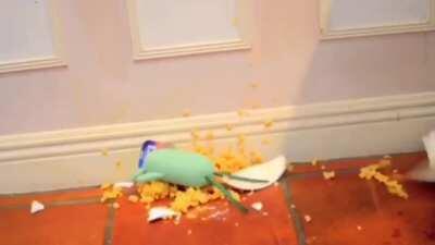 HaVe A bOwL mR.sQuIdWaRd