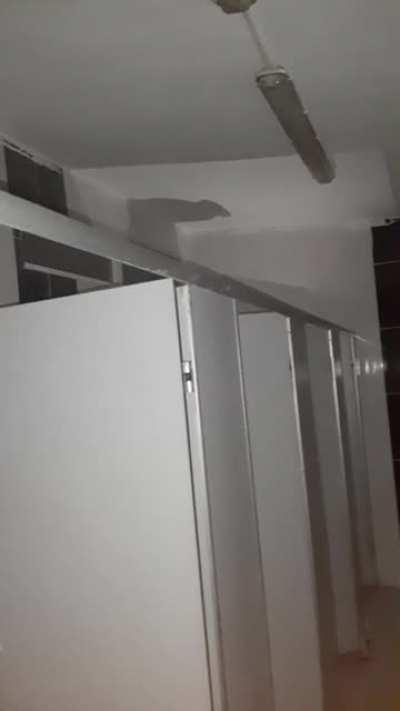 Sizin için hayatımı tehlikeye atarak geceleyin kızlar tuvaletine girdim