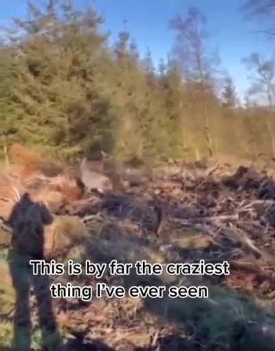 this is how you give up on your Hunting hobby