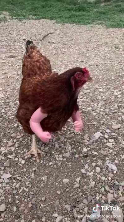 I literally don’t know where to post this. So whatever. Enjoy.