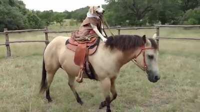 Apenas um cachorro e seu fiél cavalo