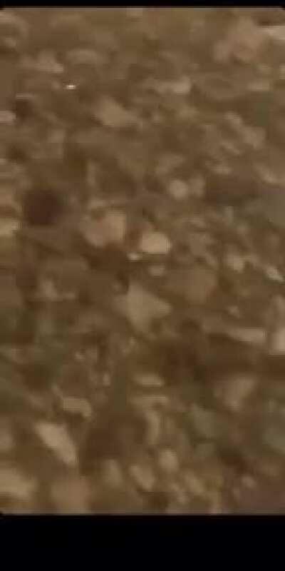 Dude smashes into oncoming traffic