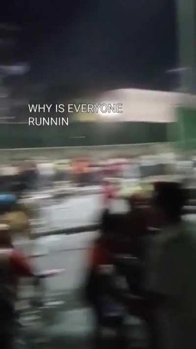 Most street smart gringo