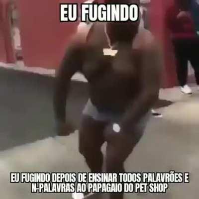 O cellbit fugindo